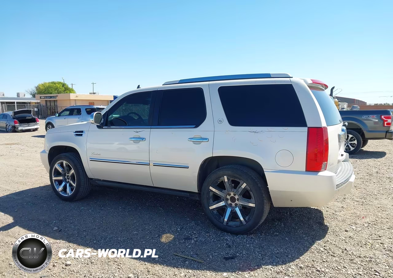 2010 Cadillac Escalade Premium VIN:1GYUKCEF9AR146690 - 14