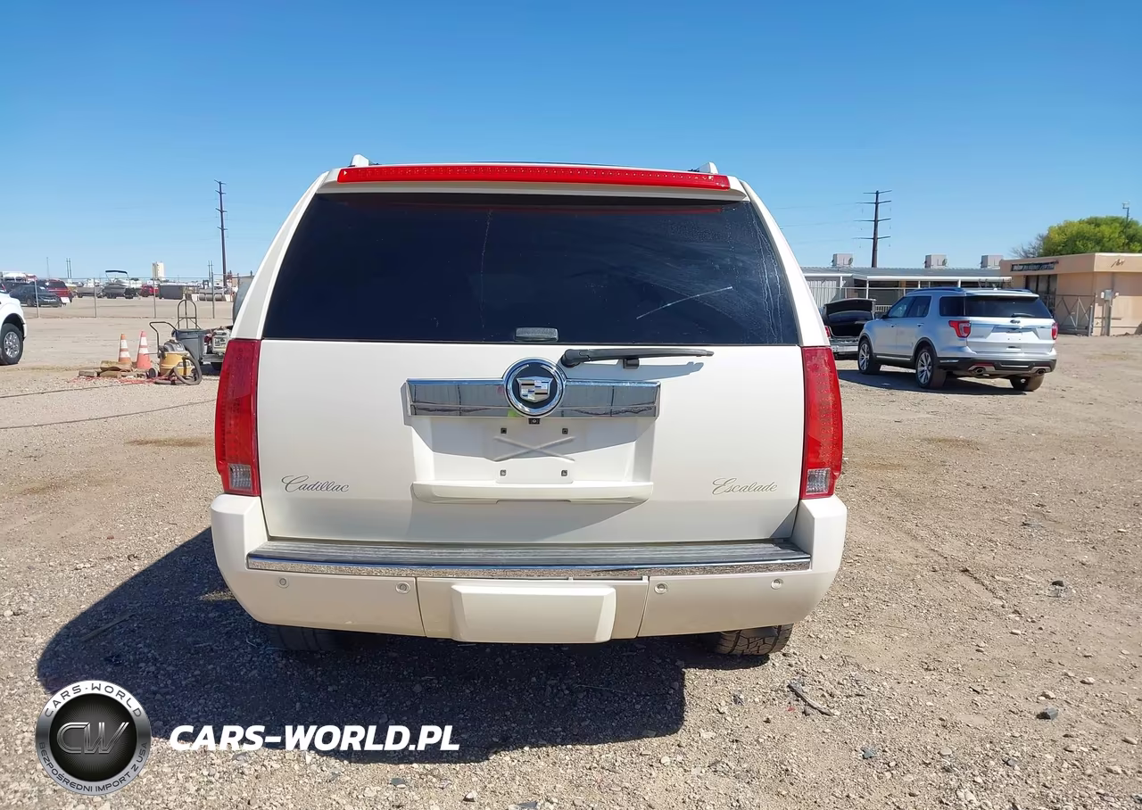 2010 Cadillac Escalade Premium VIN:1GYUKCEF9AR146690 - 16