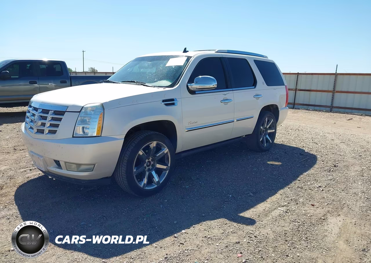 2010 Cadillac Escalade Premium VIN:1GYUKCEF9AR146690 - 2