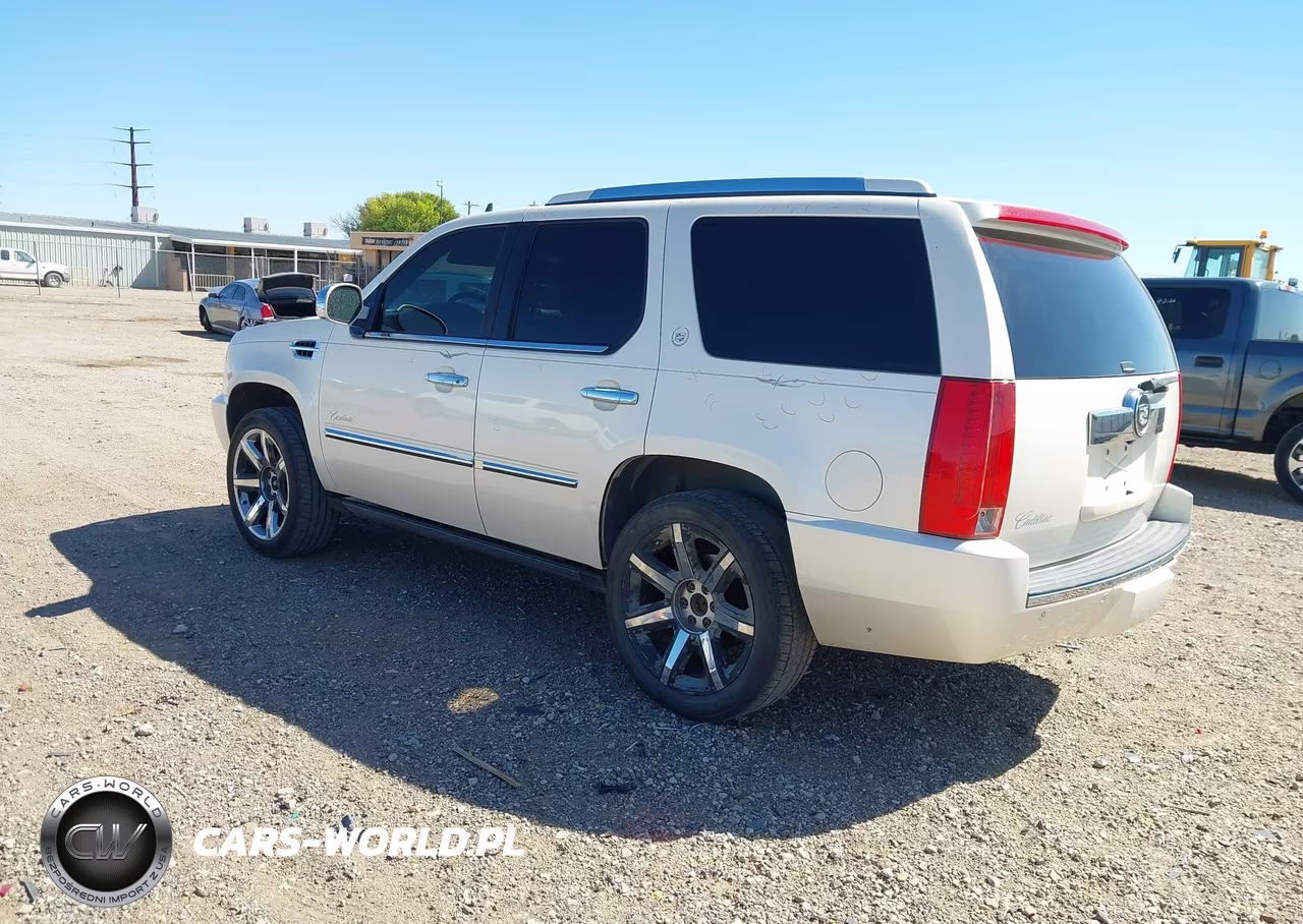 2010 Cadillac Escalade Premium VIN:1GYUKCEF9AR146690 - 3