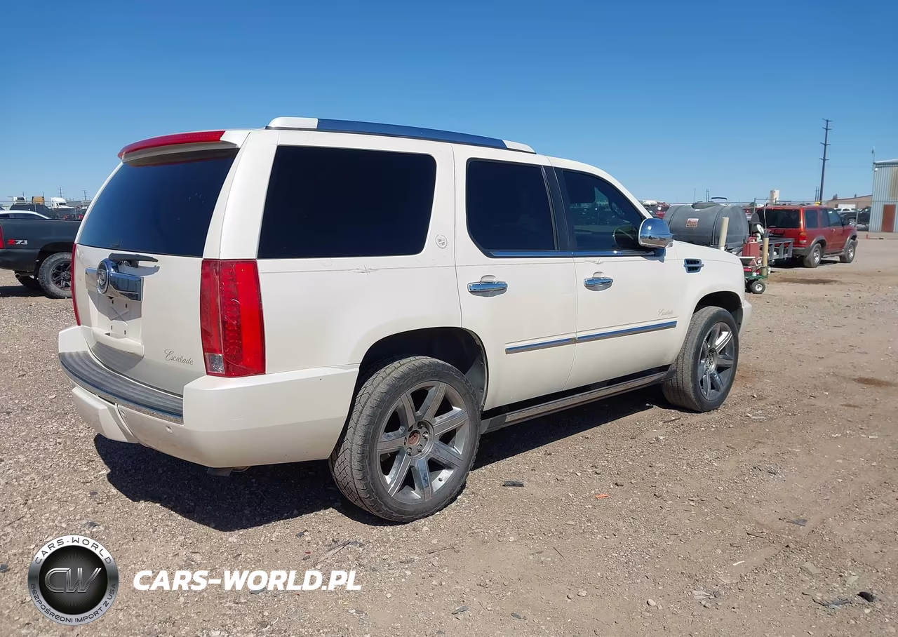 2010 Cadillac Escalade Premium VIN:1GYUKCEF9AR146690 - 4