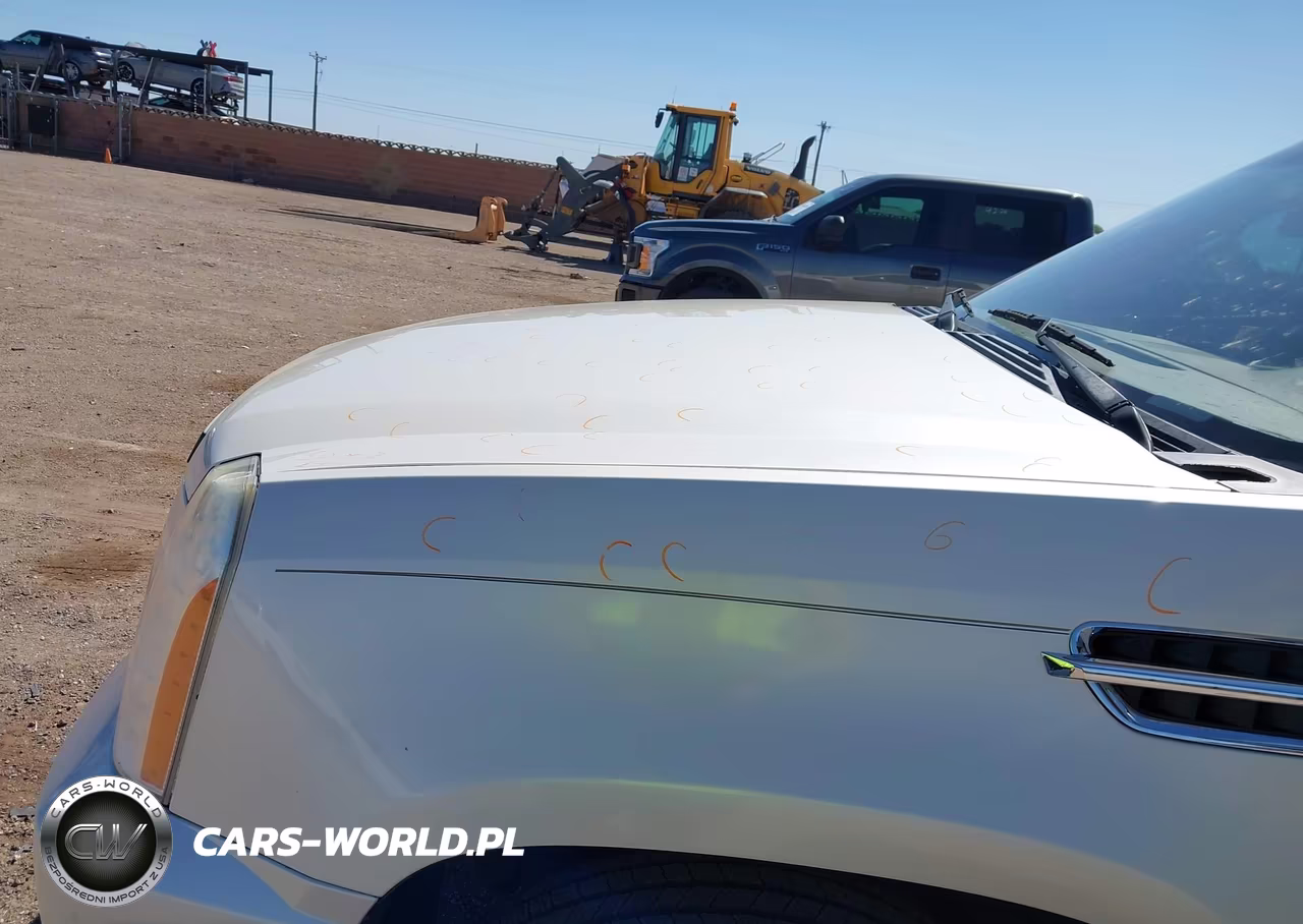 2010 Cadillac Escalade Premium VIN:1GYUKCEF9AR146690 - 6