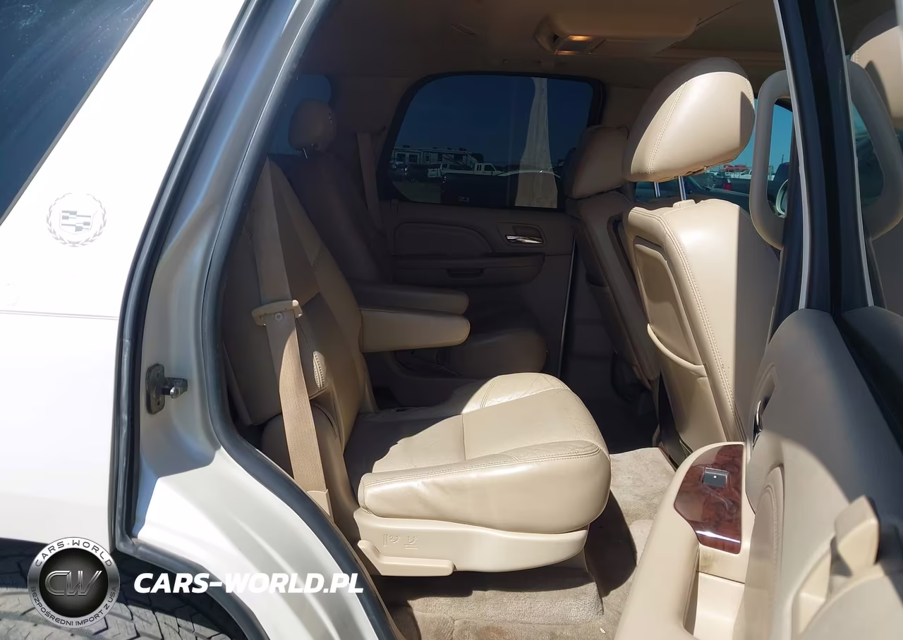 2010 Cadillac Escalade Premium VIN:1GYUKCEF9AR146690 - 8