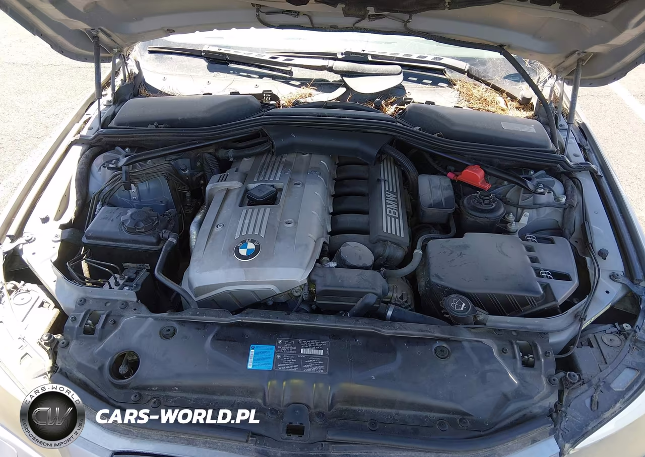 2007 BMW 530I VIN:WBANE73567CM49874 - 10