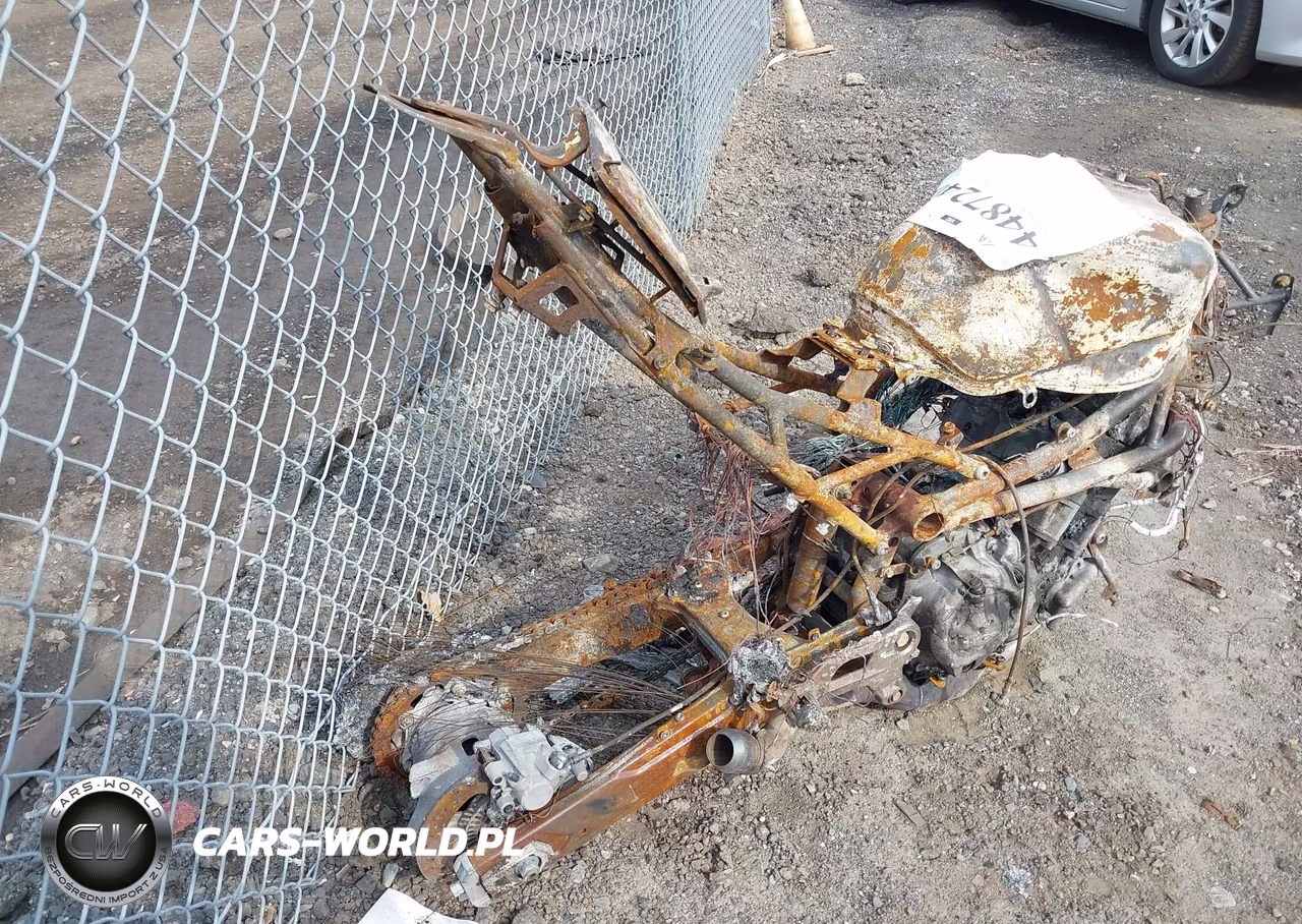 2025 Cf Moto 450Ss VIN:LCEPESLA4S6002592 - 4