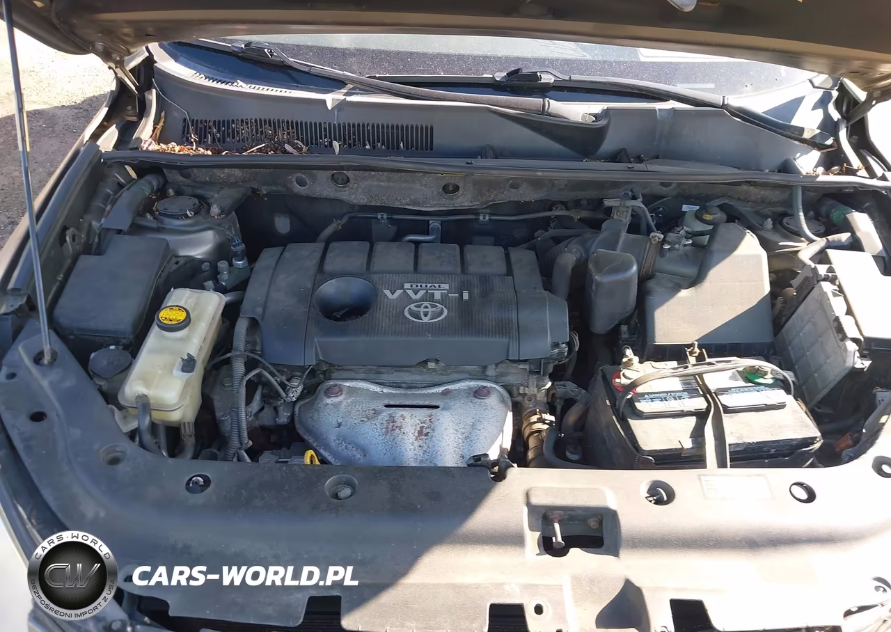2010 Toyota Rav4 VIN:JTMBF4DV0A5033251 - 10