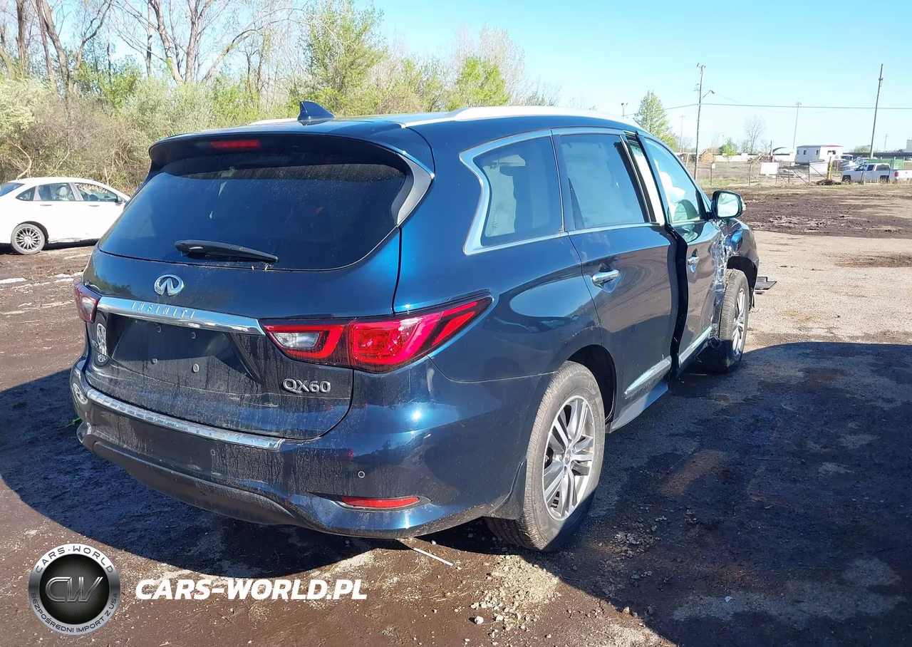 2020 Infiniti Qx60 Luxe Awd VIN:5N1DL0MM2LC523329 - 4