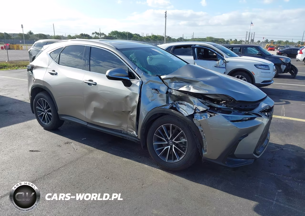 2024 Lexus Nx 250