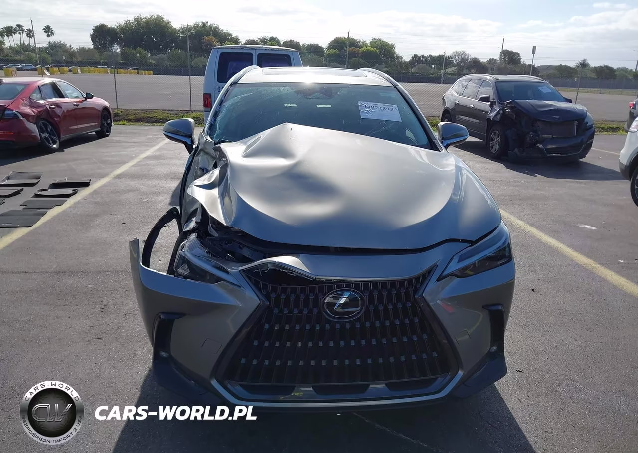 2024 Lexus Nx 250 VIN:2T2ADCAZ7RC014421 - 12