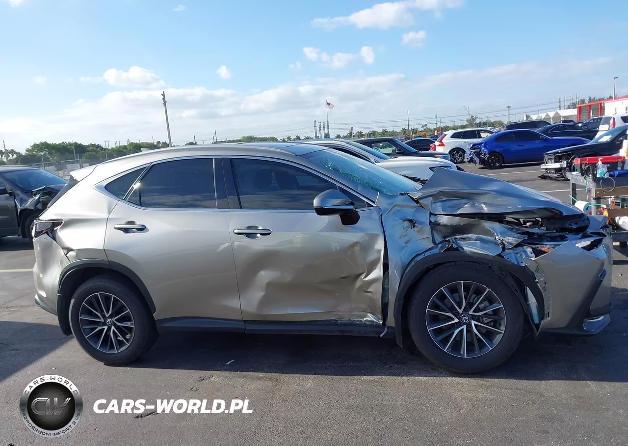 2024 Lexus Nx 250 VIN:2T2ADCAZ7RC014421 - 13