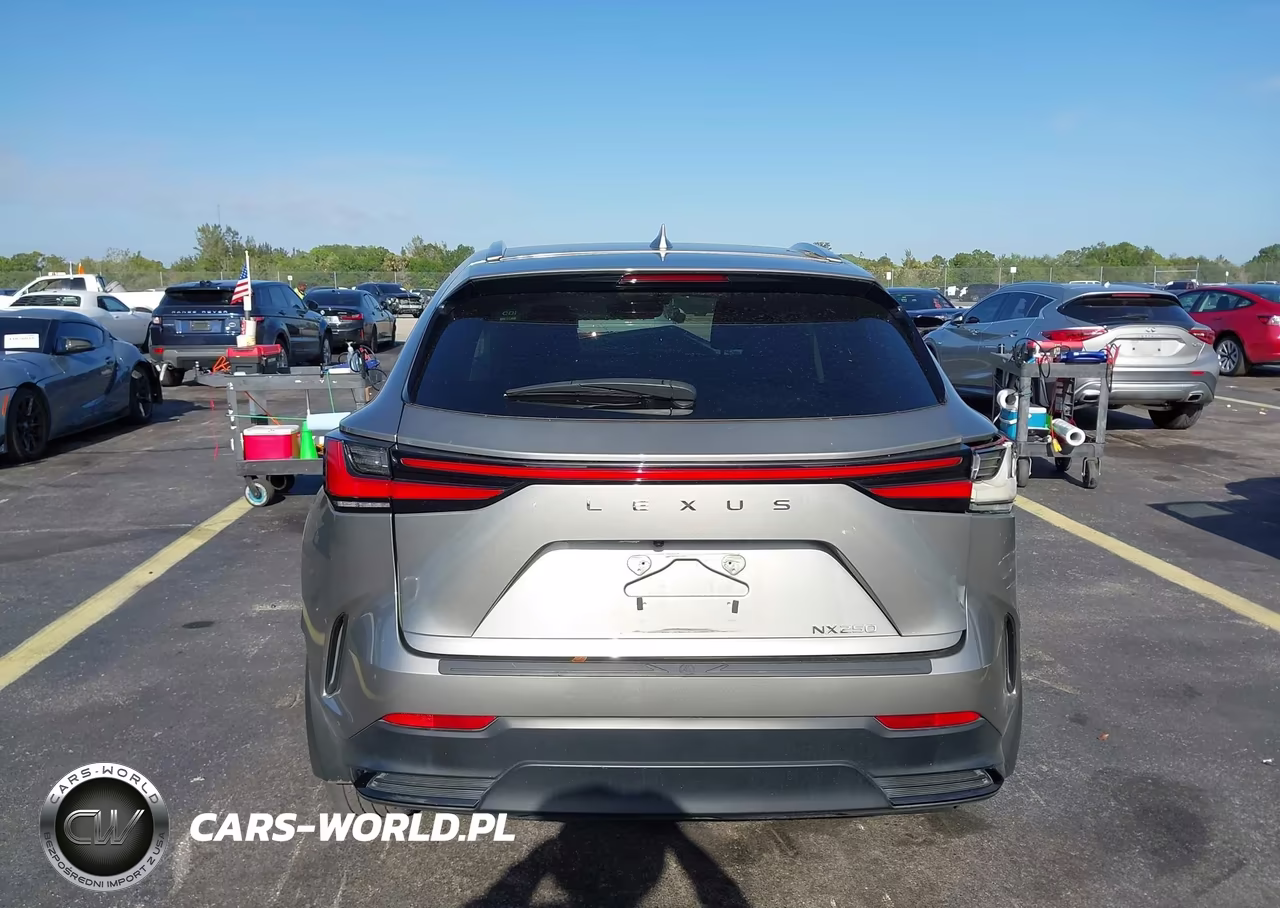 2024 Lexus Nx 250 VIN:2T2ADCAZ7RC014421 - 16