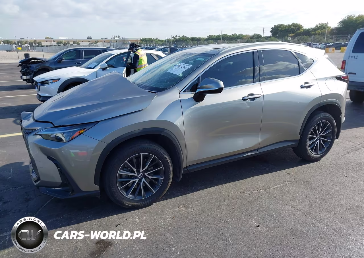 2024 Lexus Nx 250 VIN:2T2ADCAZ7RC014421 - 2