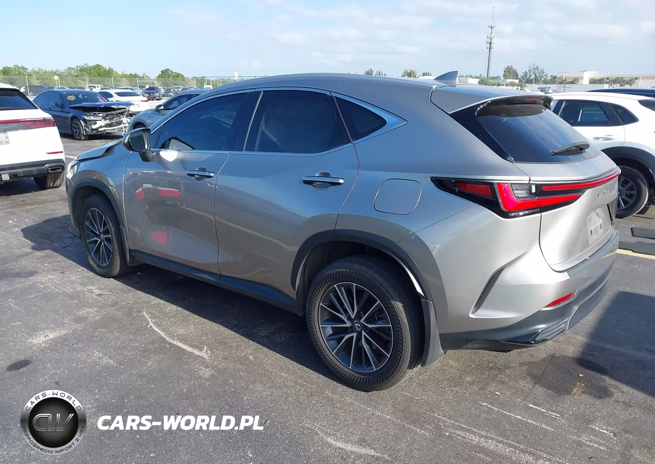 2024 Lexus Nx 250 VIN:2T2ADCAZ7RC014421 - 3