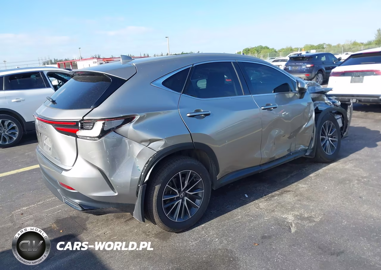 2024 Lexus Nx 250 VIN:2T2ADCAZ7RC014421 - 4