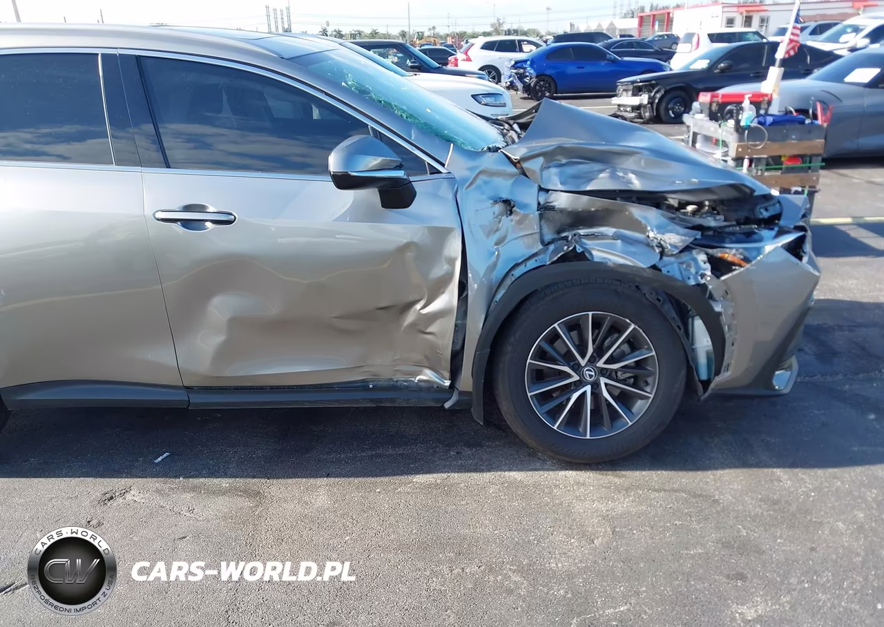 2024 Lexus Nx 250 VIN:2T2ADCAZ7RC014421 - 6