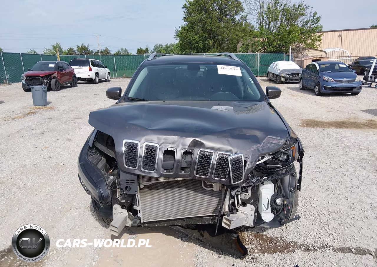 2019 Jeep Cherokee Limited 4X4 VIN:1C4PJMDX3KD166258 - 12