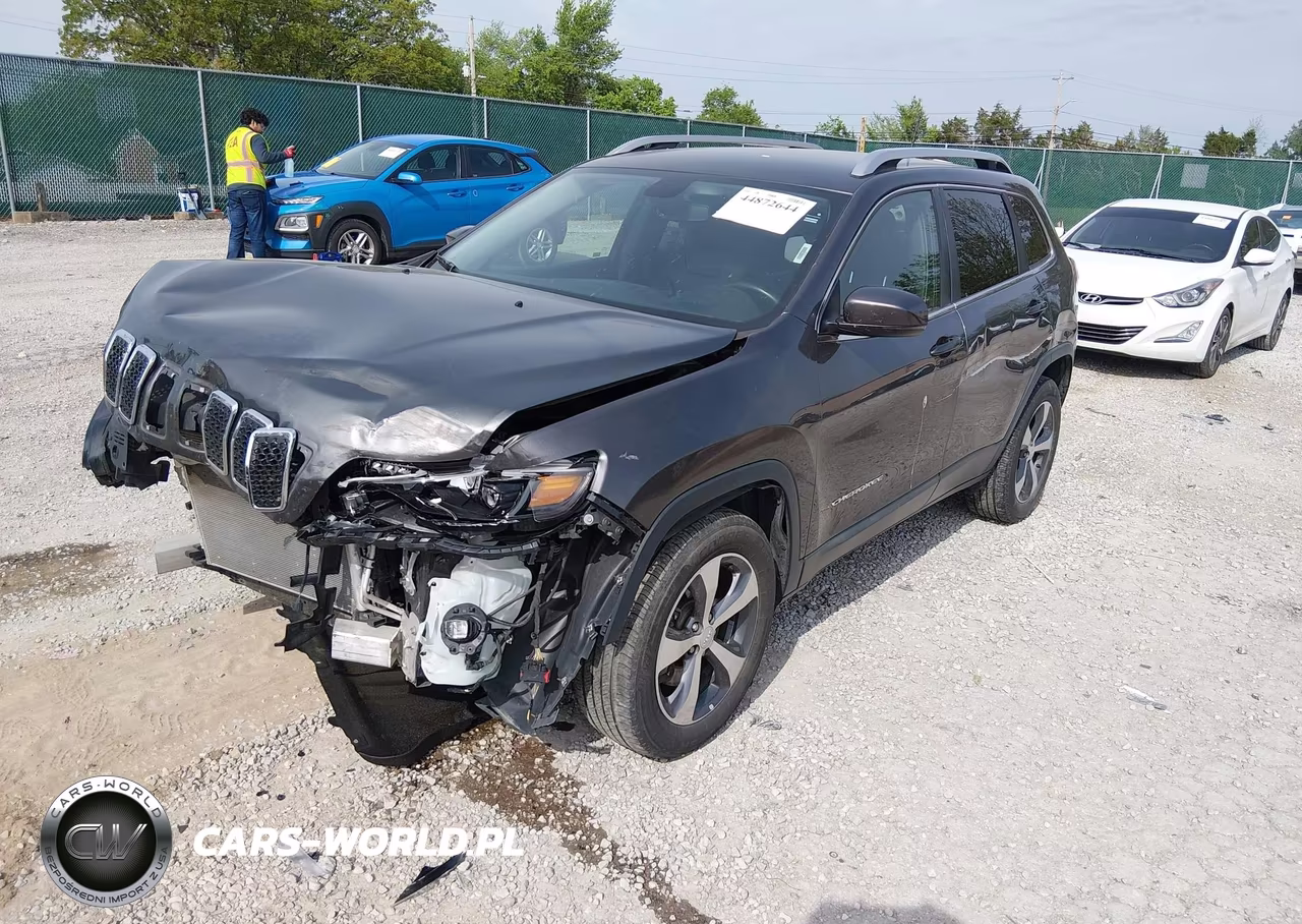 2019 Jeep Cherokee Limited 4X4 VIN:1C4PJMDX3KD166258 - 2