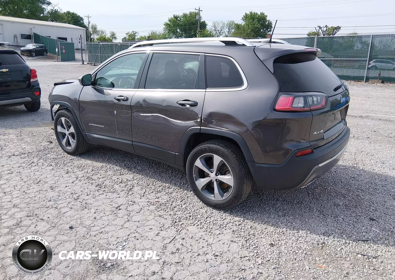 2019 Jeep Cherokee Limited 4X4 VIN:1C4PJMDX3KD166258 - 3