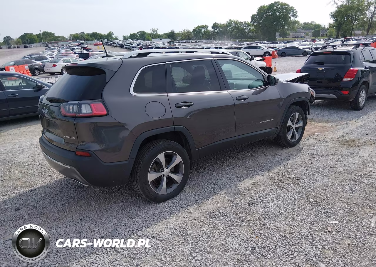 2019 Jeep Cherokee Limited 4X4 VIN:1C4PJMDX3KD166258 - 4