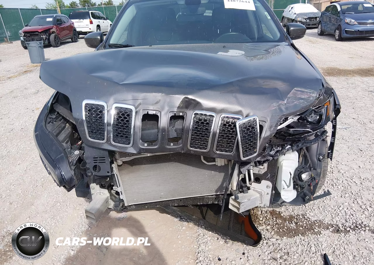 2019 Jeep Cherokee Limited 4X4 VIN:1C4PJMDX3KD166258 - 6