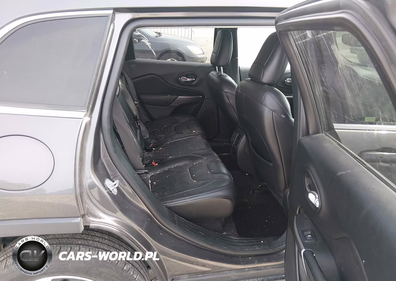2019 Jeep Cherokee Limited 4X4 VIN:1C4PJMDX3KD166258 - 8