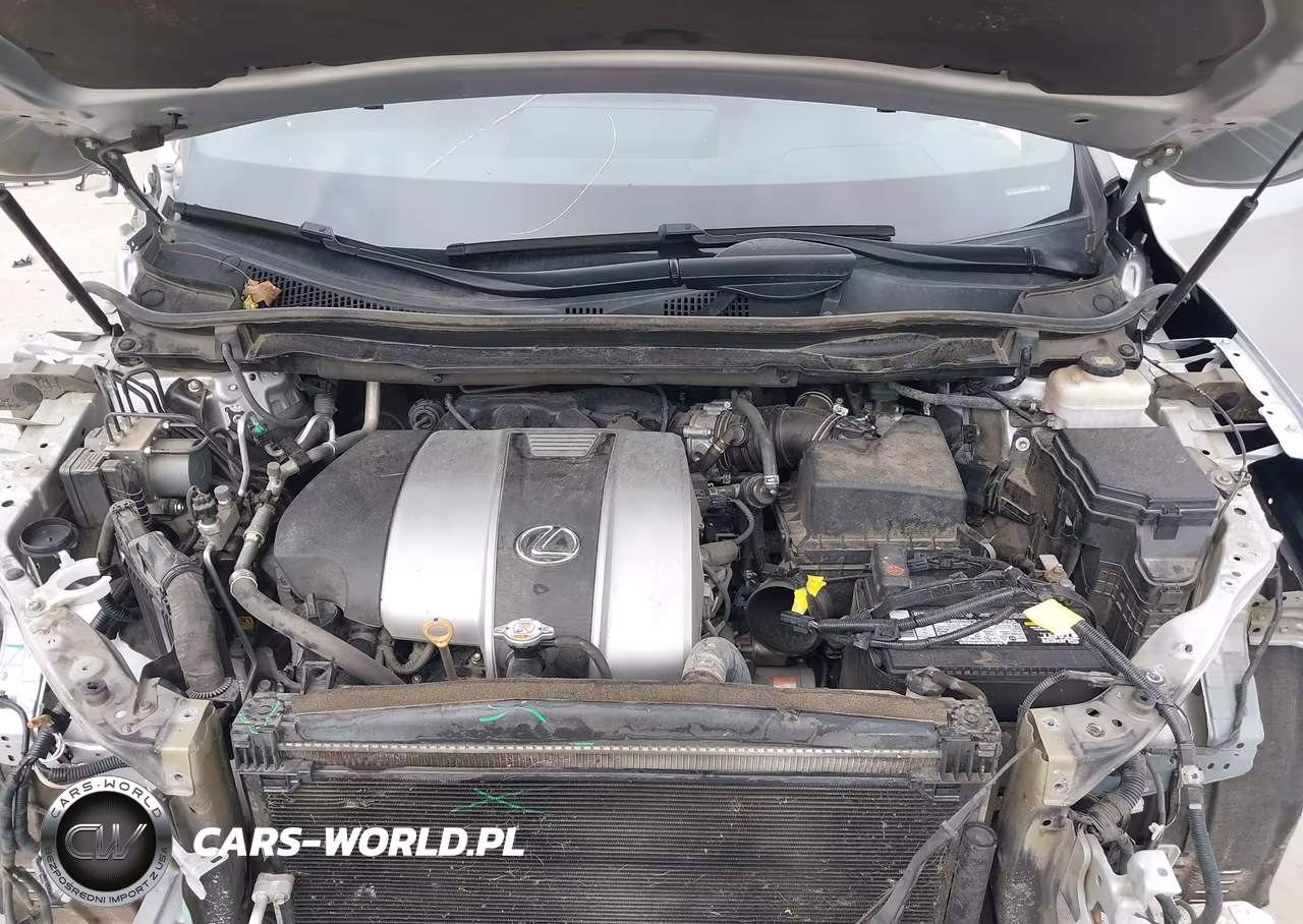 2019 Lexus Rx 350 F Sport VIN:2T2BZMCA7KC174064 - 10