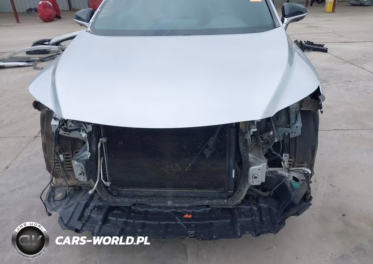 2019 Lexus Rx 350 F Sport VIN:2T2BZMCA7KC174064 - 6