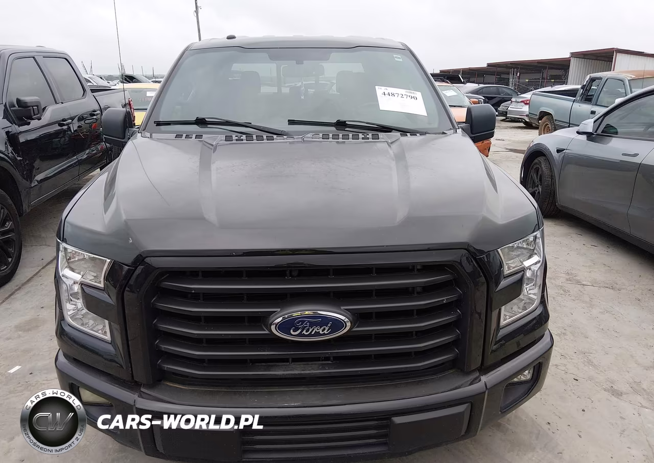 2015 Ford F-150 Xlt VIN:1FTEW1CFXFKE03233 - 12