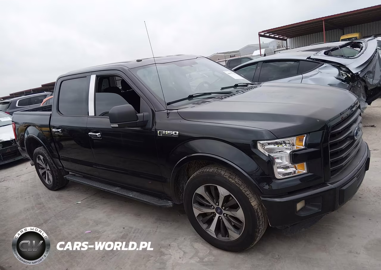 2015 Ford F-150 Xlt VIN:1FTEW1CFXFKE03233 - 13