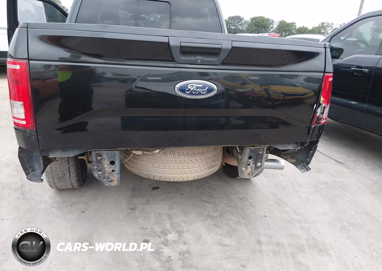 2015 Ford F-150 Xlt VIN:1FTEW1CFXFKE03233 - 6