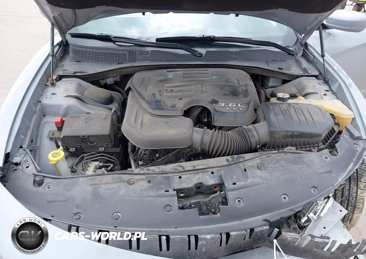 DODGE CHARGER VIN:2C3CDXBGXLH204846 - 10