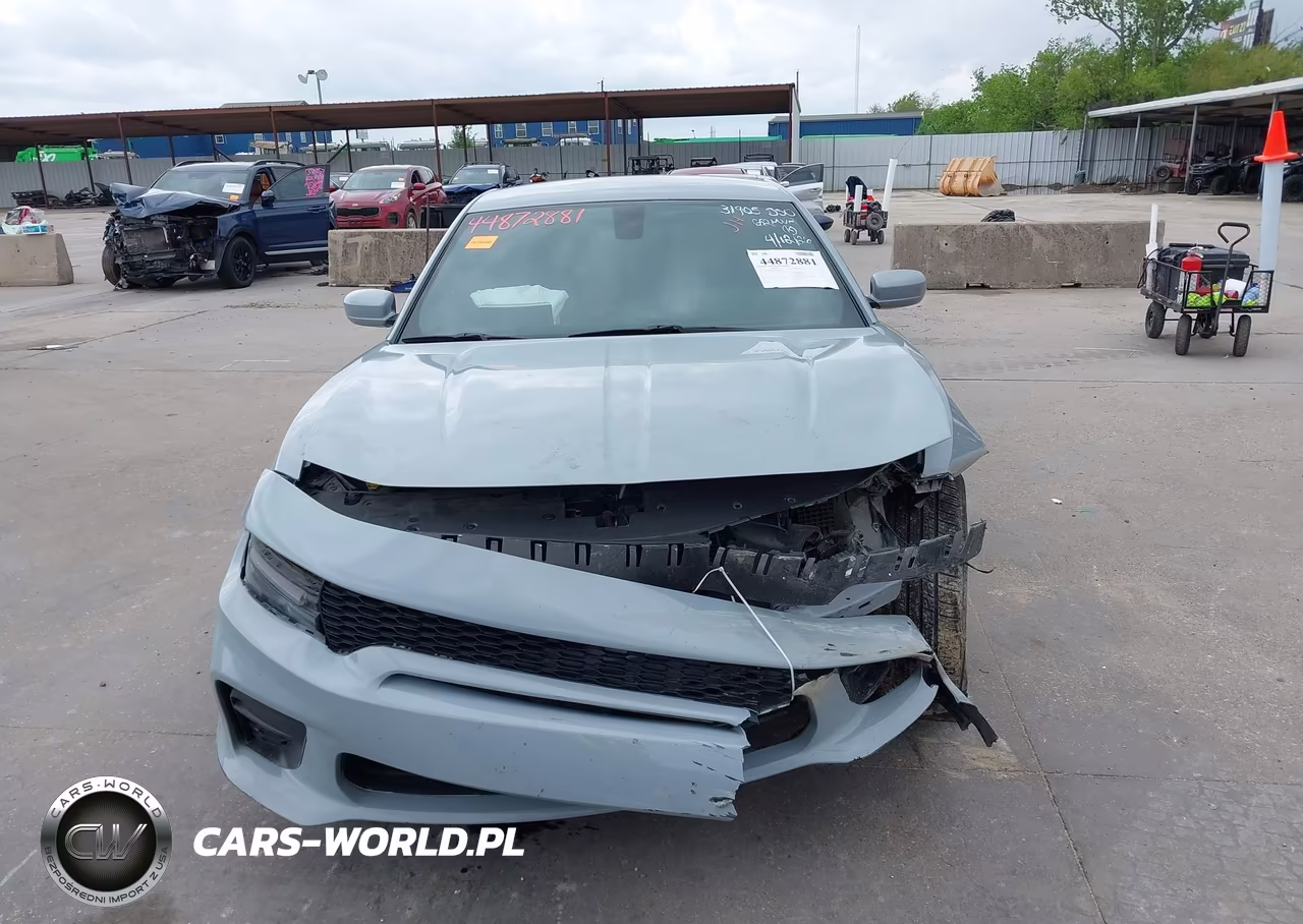 DODGE CHARGER VIN:2C3CDXBGXLH204846 - 13