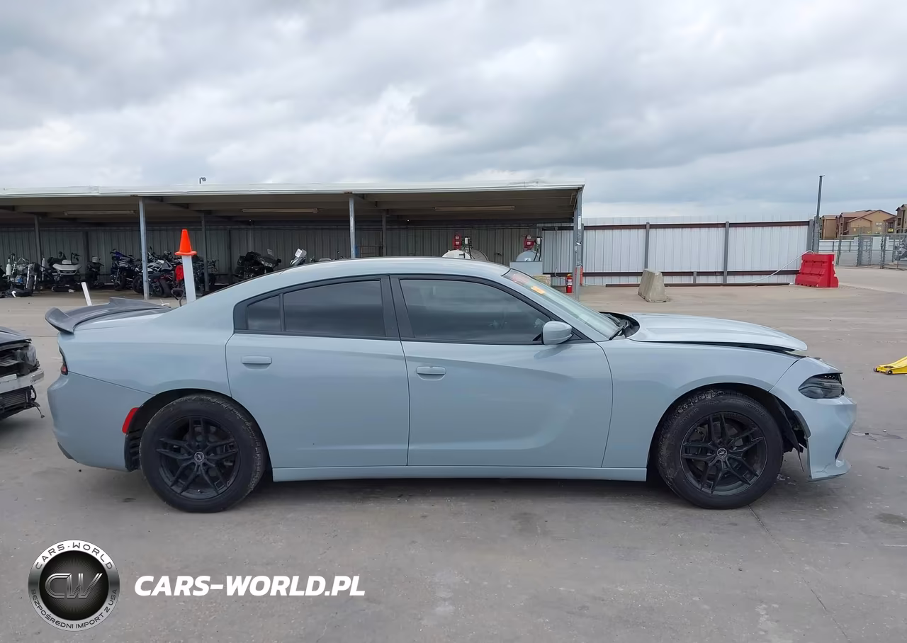DODGE CHARGER VIN:2C3CDXBGXLH204846 - 14