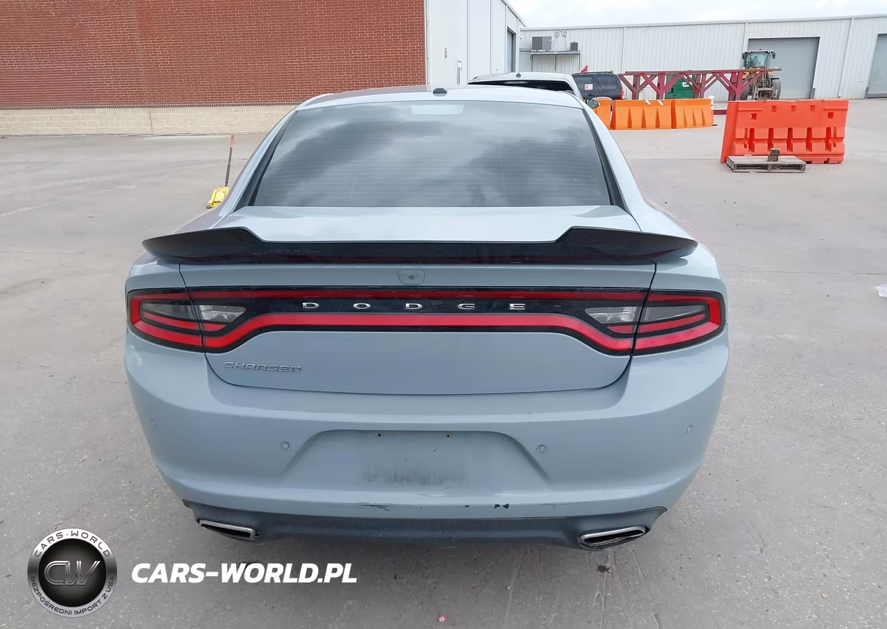 DODGE CHARGER VIN:2C3CDXBGXLH204846 - 17