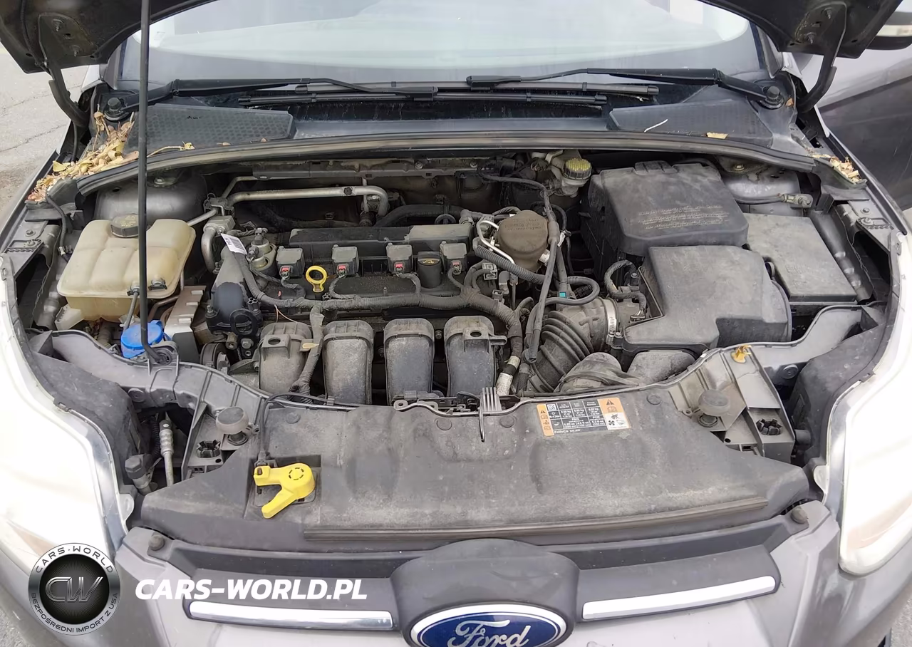 2014 Ford Focus Se VIN:1FADP3F24EL417169 - 10