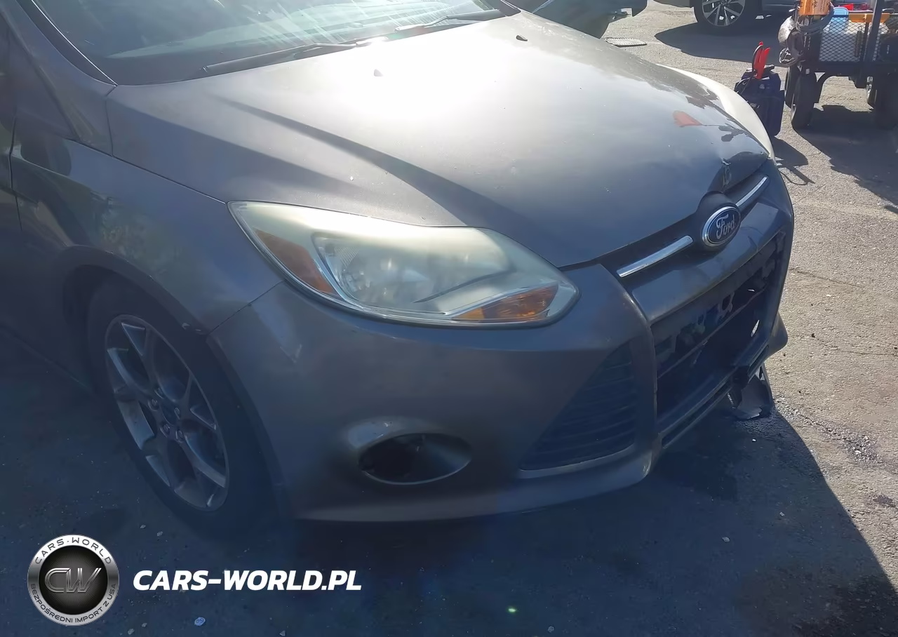 2014 Ford Focus Se VIN:1FADP3F24EL417169 - 18