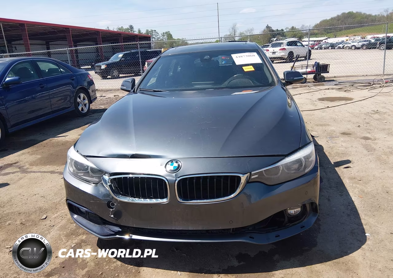 2019 BMW 430I Gran Coupe xDrive VIN:WBA4J3C53KBL10834 - 12