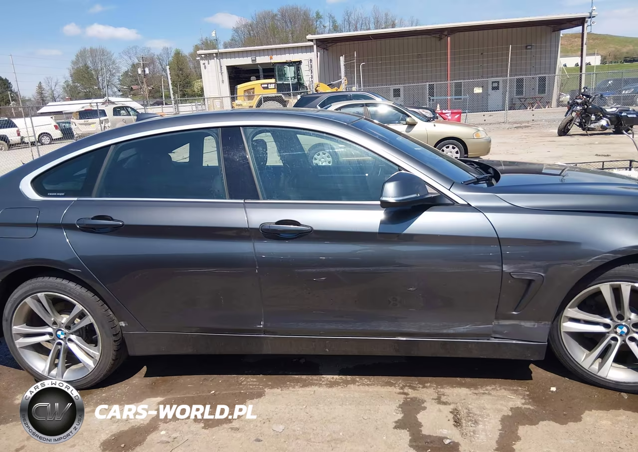 2019 BMW 430I Gran Coupe xDrive VIN:WBA4J3C53KBL10834 - 13