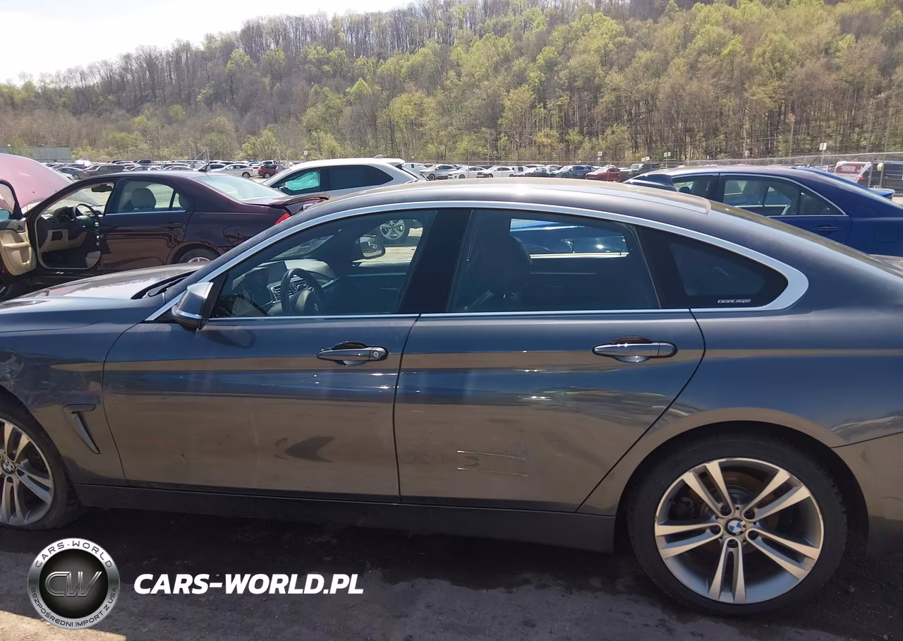2019 BMW 430I Gran Coupe xDrive VIN:WBA4J3C53KBL10834 - 14