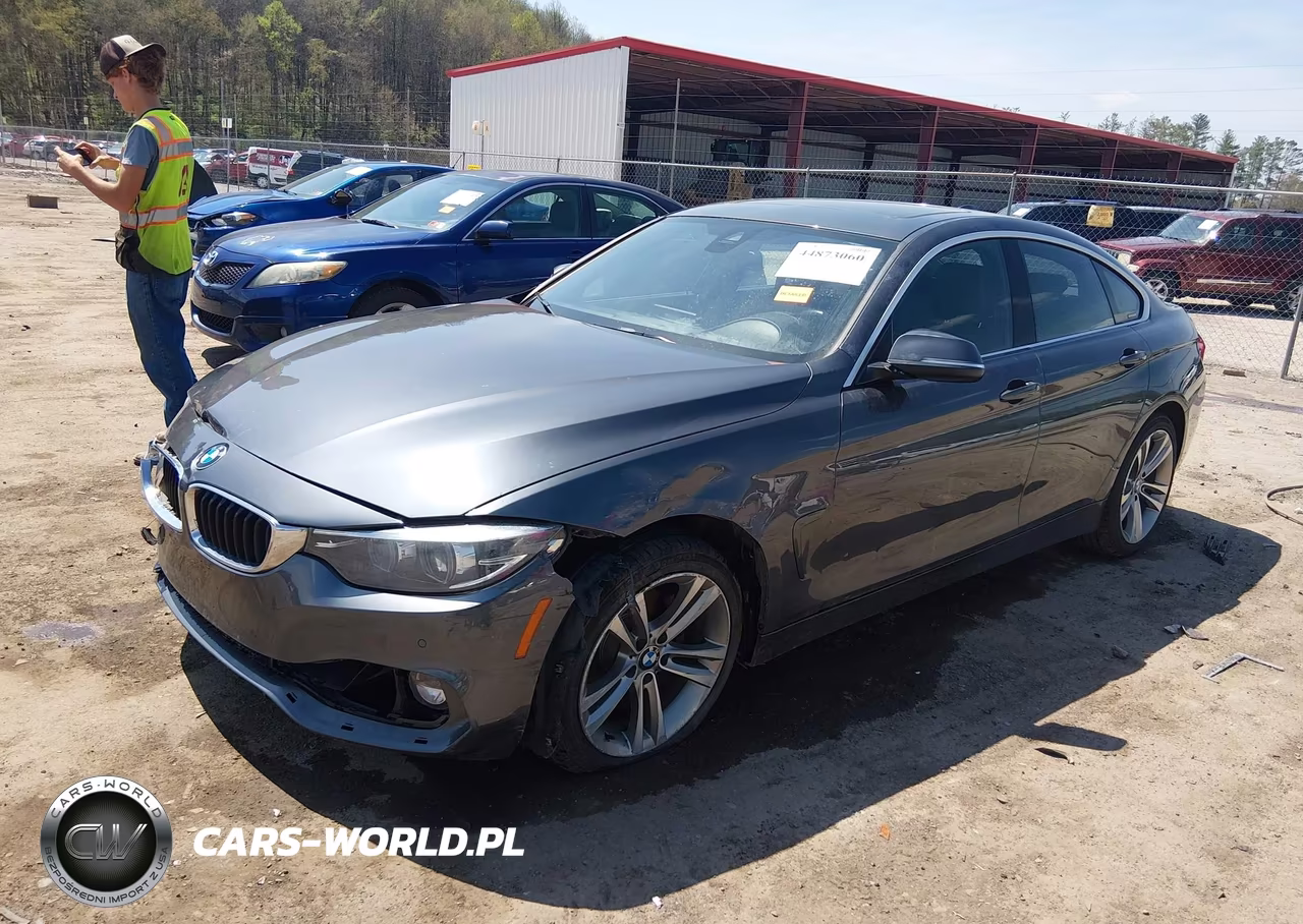 2019 BMW 430I Gran Coupe xDrive VIN:WBA4J3C53KBL10834 - 2