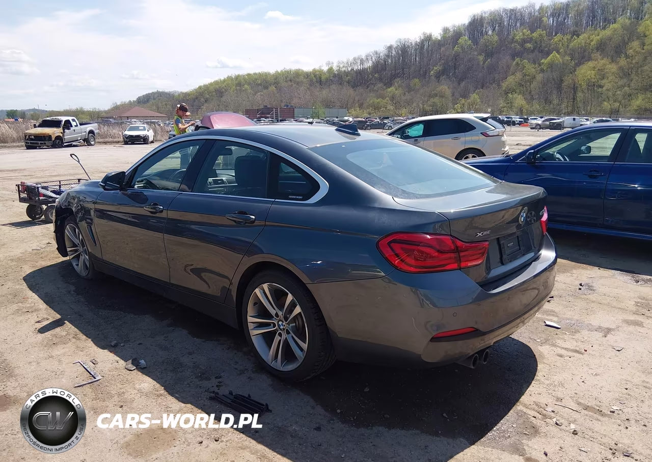 2019 BMW 430I Gran Coupe xDrive VIN:WBA4J3C53KBL10834 - 3