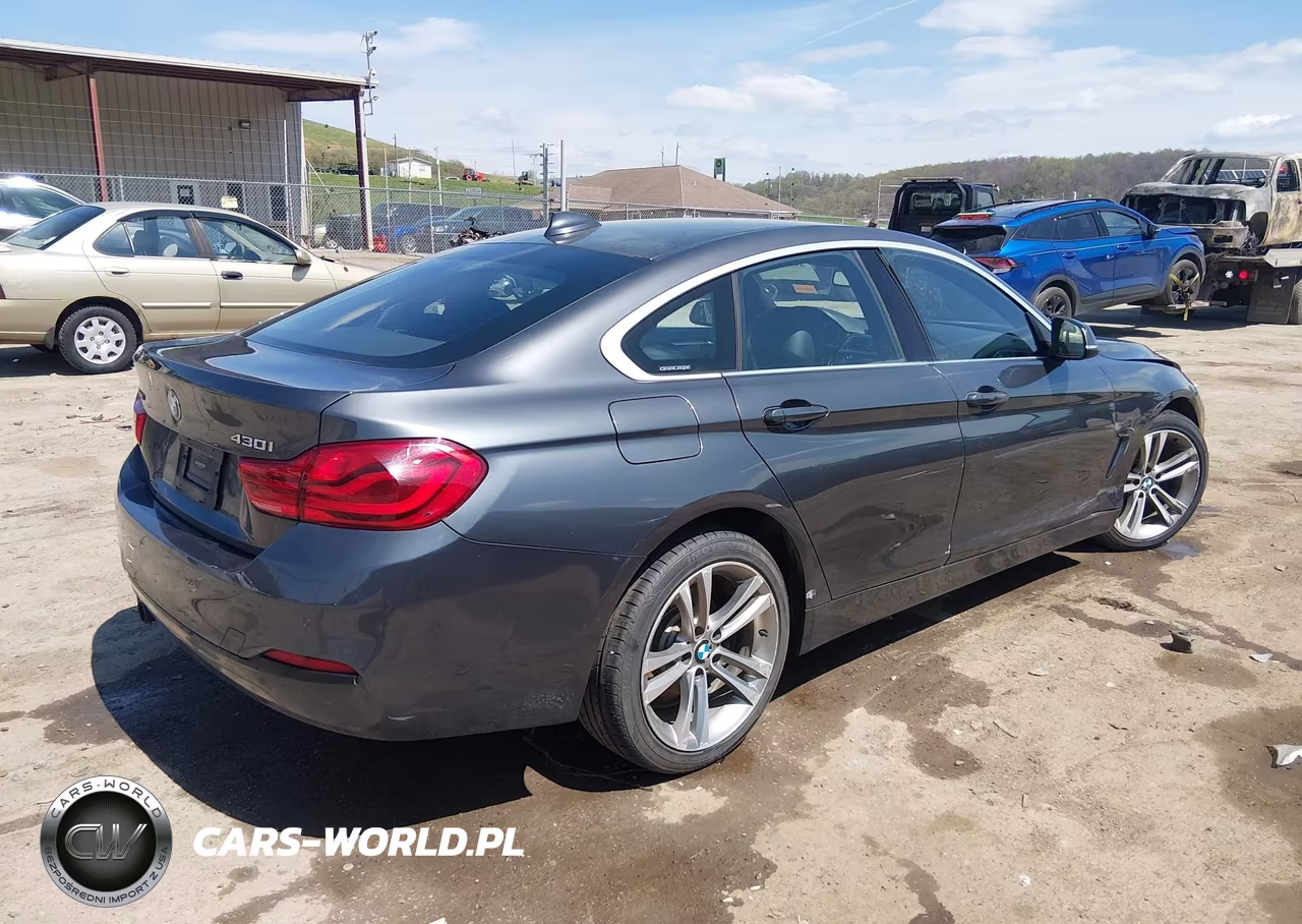 2019 BMW 430I Gran Coupe xDrive VIN:WBA4J3C53KBL10834 - 4