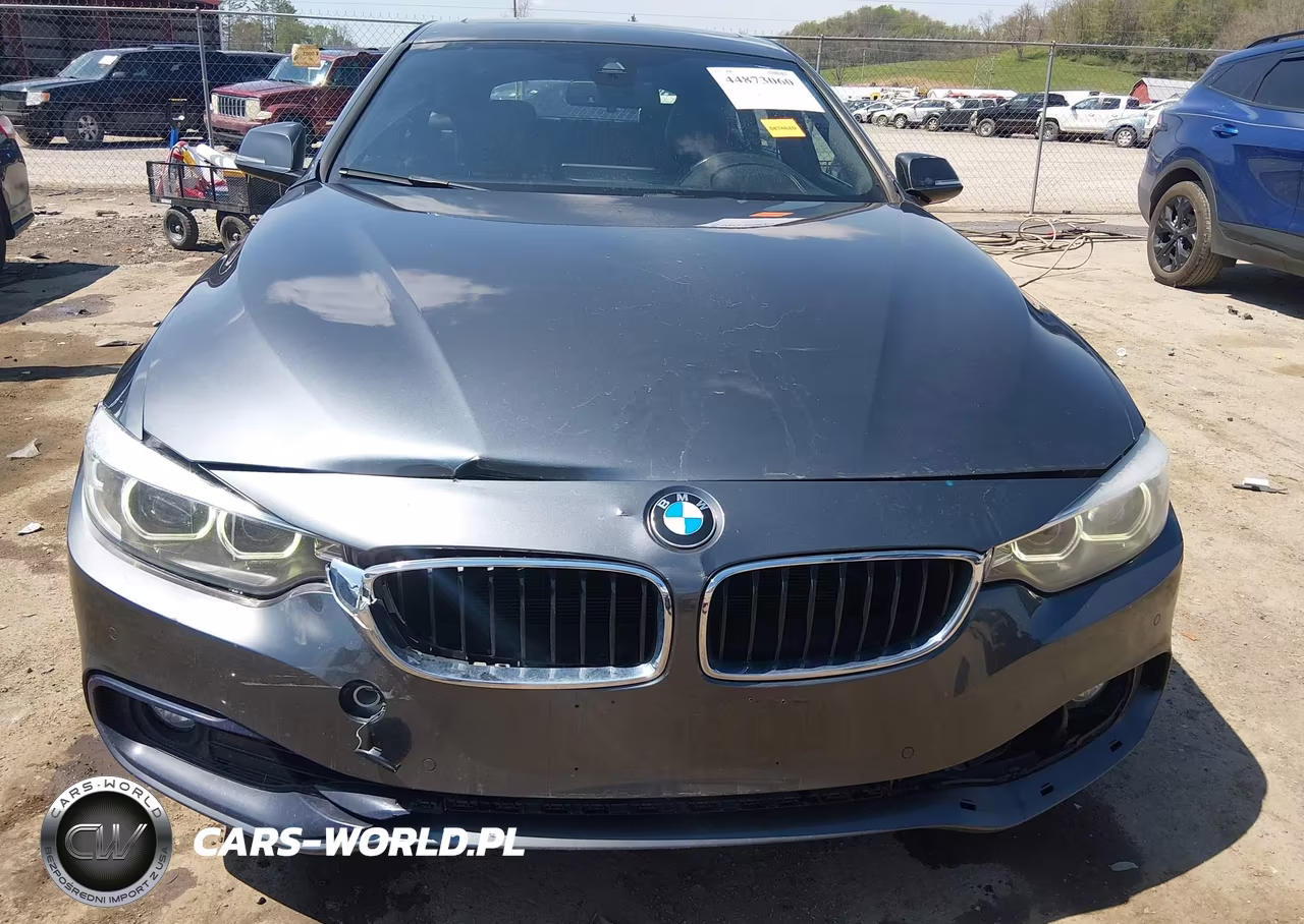 2019 BMW 430I Gran Coupe xDrive VIN:WBA4J3C53KBL10834 - 6