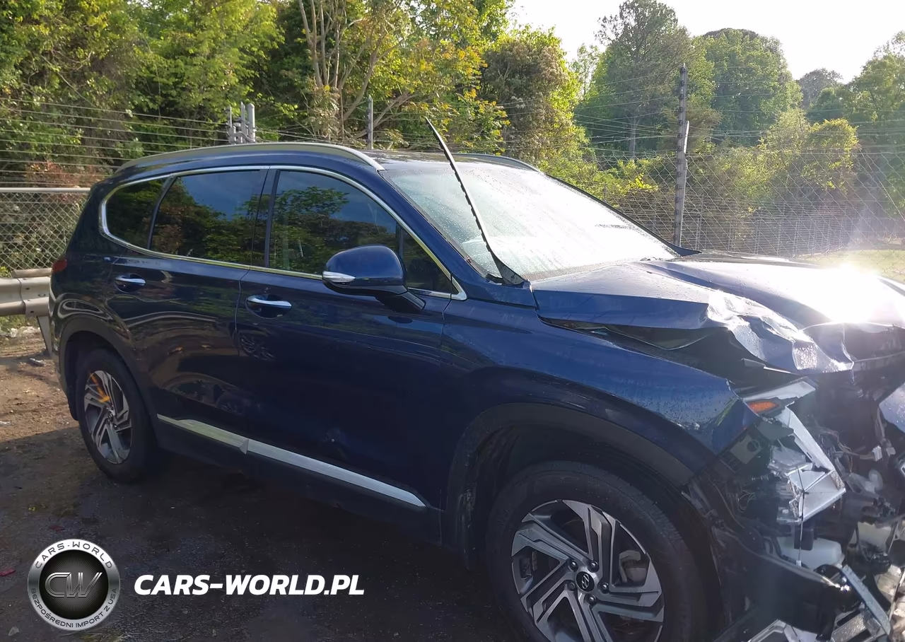 2021 Hyundai Santa Fe Sel VIN:5NMS64AJ2MH356512 - 13