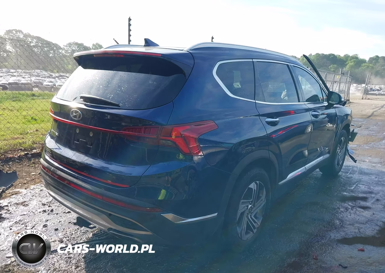 2021 Hyundai Santa Fe Sel VIN:5NMS64AJ2MH356512 - 4