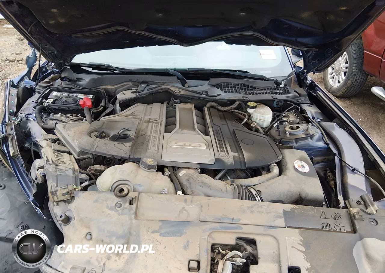 2019 Ford Mustang Gt VIN:1FA6P8CF0K5138119 - 10