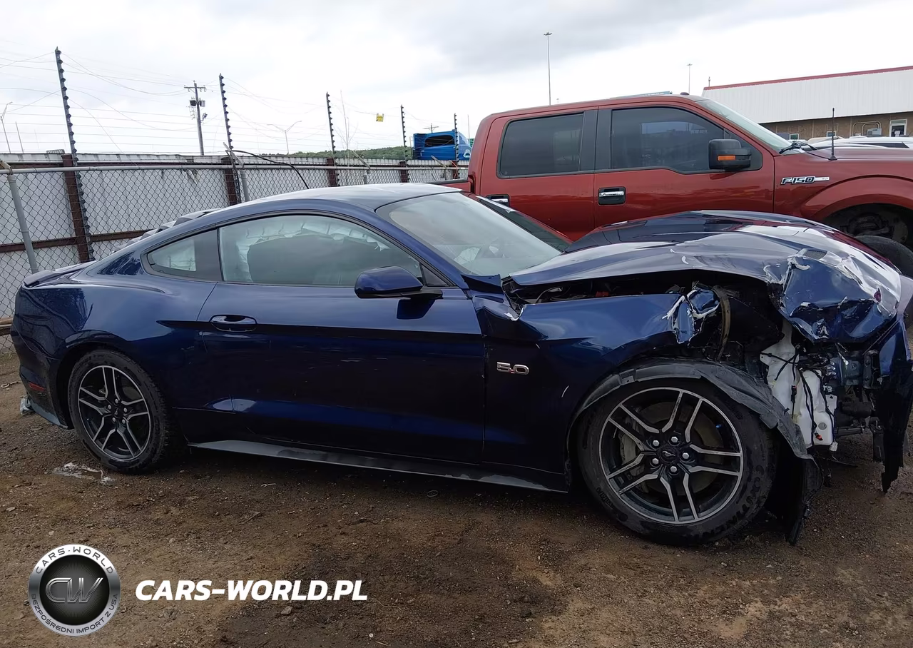 2019 Ford Mustang Gt VIN:1FA6P8CF0K5138119 - 14