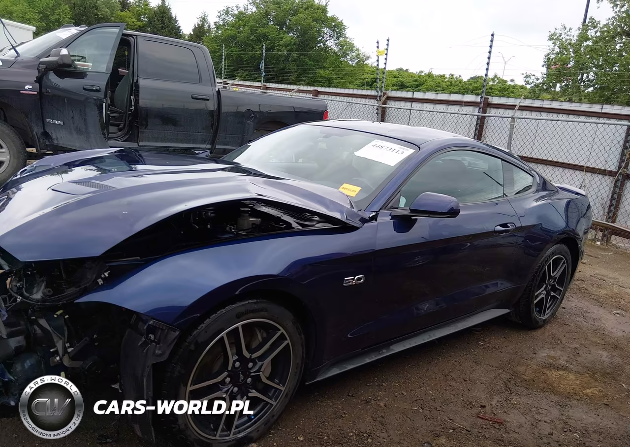 2019 Ford Mustang Gt VIN:1FA6P8CF0K5138119 - 15