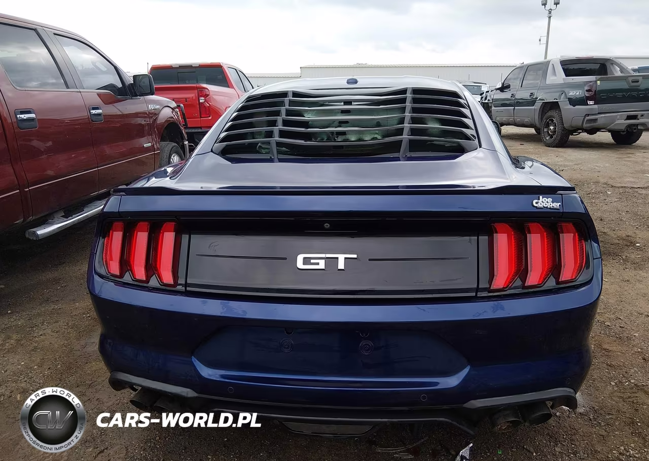 2019 Ford Mustang Gt VIN:1FA6P8CF0K5138119 - 17