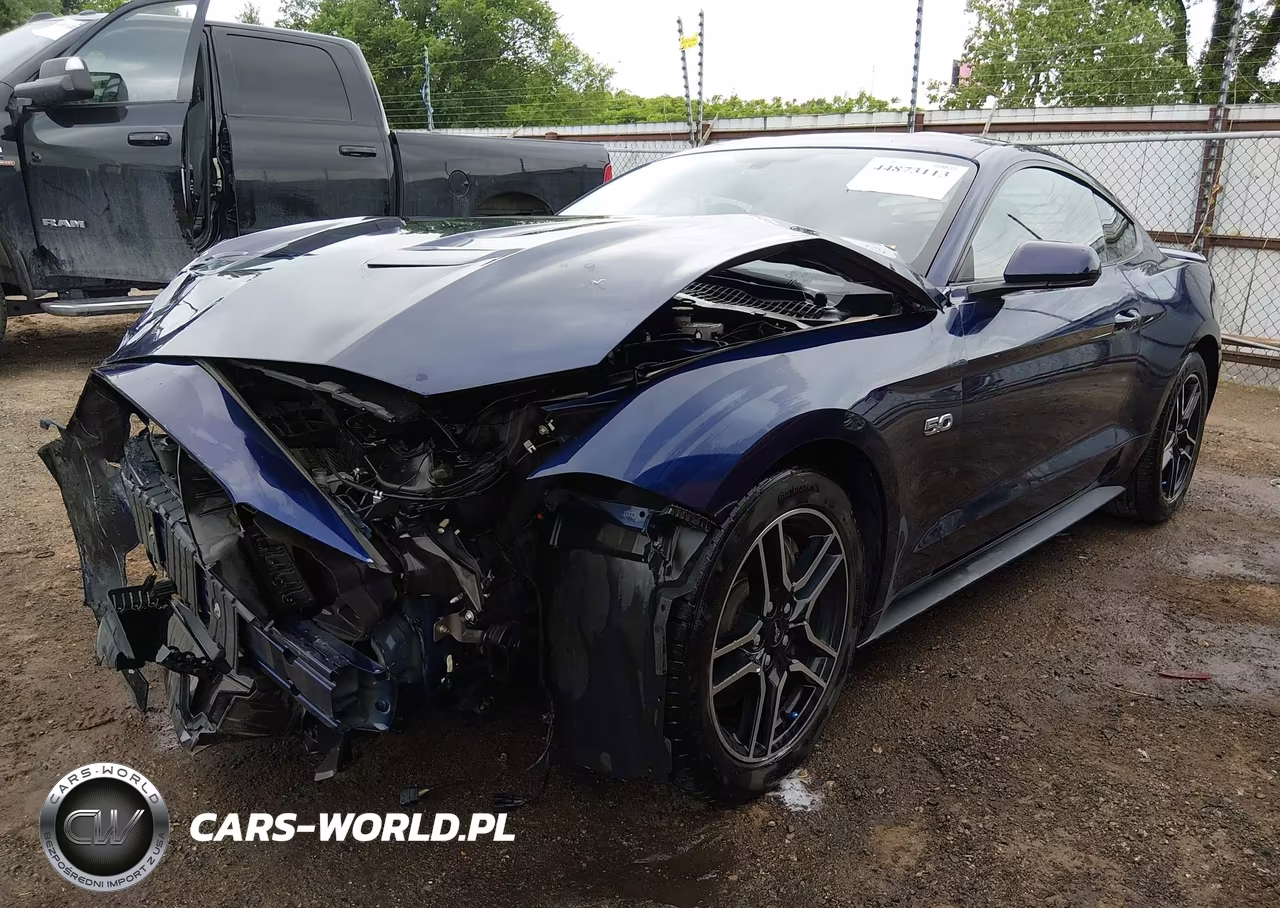 2019 Ford Mustang Gt VIN:1FA6P8CF0K5138119 - 2